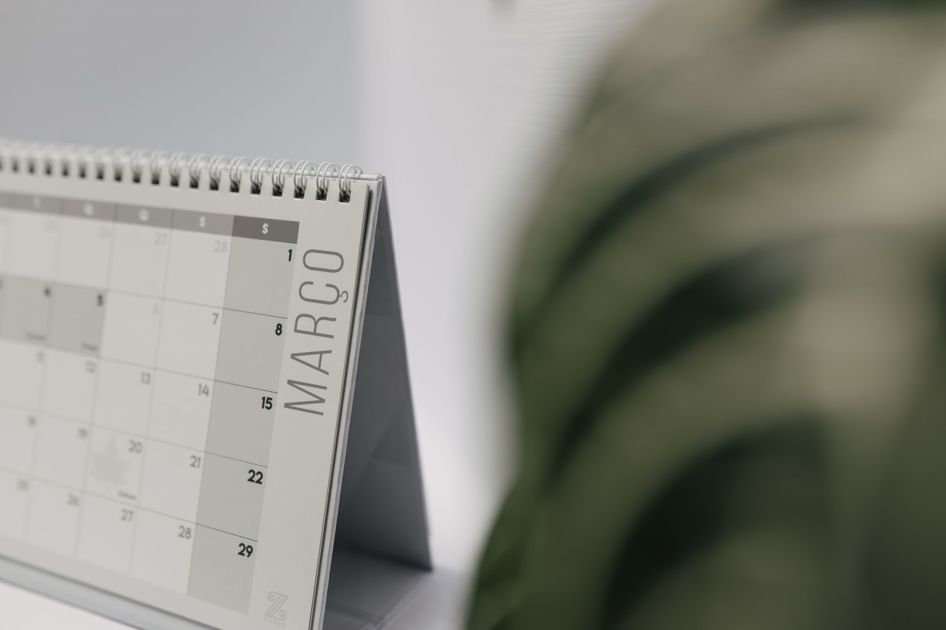 does google calendar have a scheduling assistant